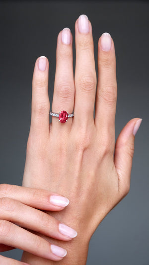 Cordelia Ring 18K White Gold Ruby