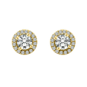 Cory Studs 18K Yellow Gold