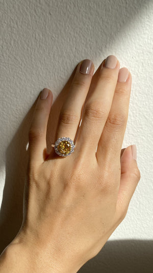 Shadia Canary Round Borderset Ring